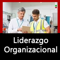 Liderazgo Organizacional